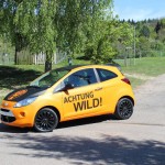 Ford Folierung in Orange