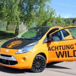 Car Wrapping Folien in Orange matt