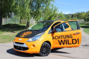 Car Wrapping Folien in Orange matt