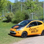 Folierung von Autos